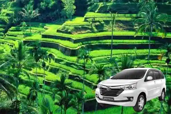 car charter
